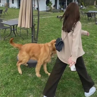 虫笼的卡伽斯特尔