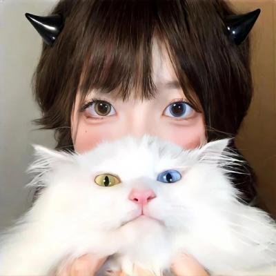 6号叩应女郎